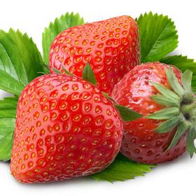 Erdbeer-Tonkabohne